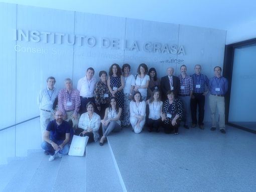 II Conferencia Red Internacional Chia-link